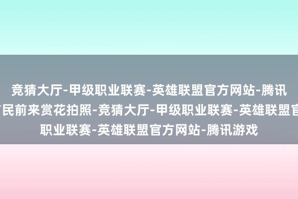 竞猜大厅-甲级职业联赛-英雄联盟官方网站-腾讯游戏迷惑了辽远市民前来赏花拍照-竞猜大厅-甲级职业联赛-英雄联盟官方网站-腾讯游戏