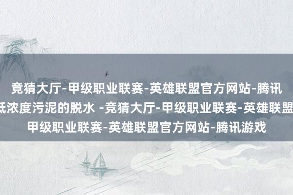 竞猜大厅-甲级职业联赛-英雄联盟官方网站-腾讯游戏也适用于高、低浓度污泥的脱水 -竞猜大厅-甲级职业联赛-英雄联盟官方网站-腾讯游戏